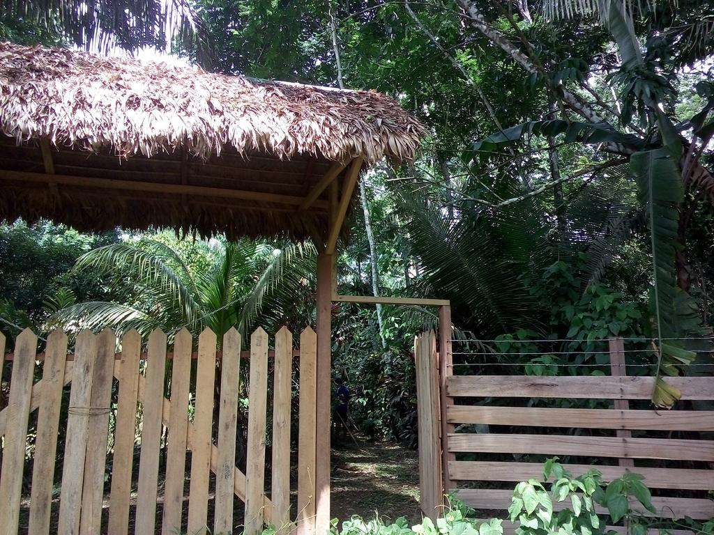 פוארטו מלדונדו Tambopata River מראה חיצוני תמונה