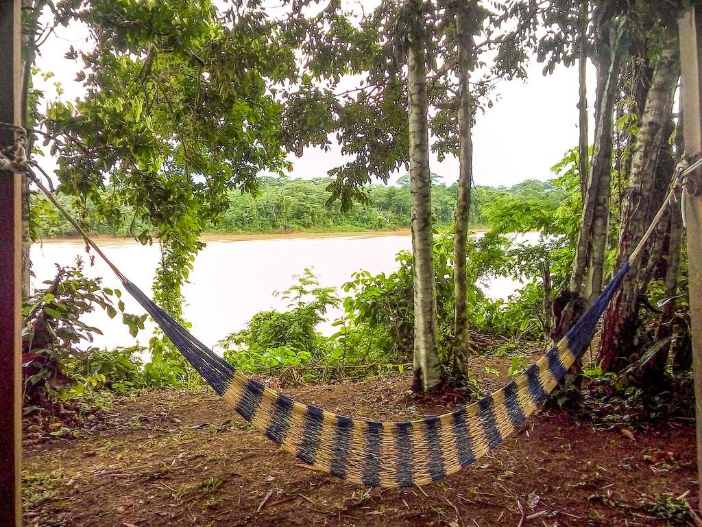 פוארטו מלדונדו Tambopata River מראה חיצוני תמונה